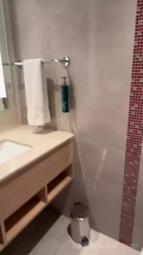 Queen Room with Sofa Bed (#124) bathroom picture #7