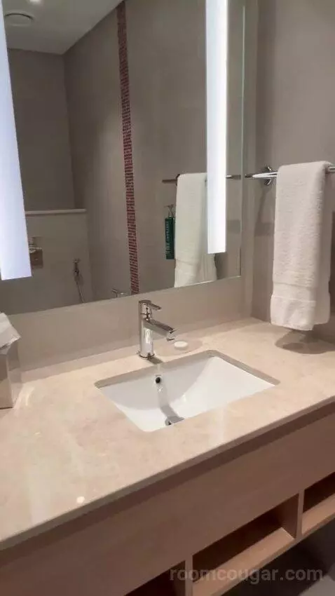 Queen Room with Sofa Bed (#124) bathroom picture #9