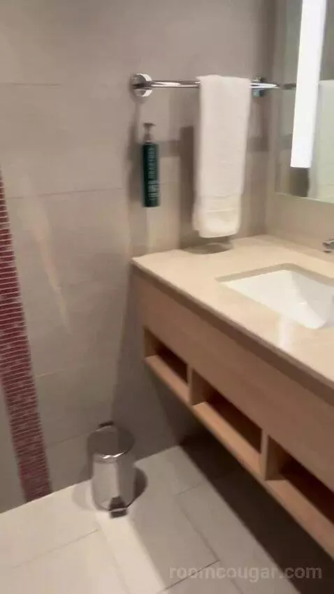 Superior King Room (#126) bathroom picture #3