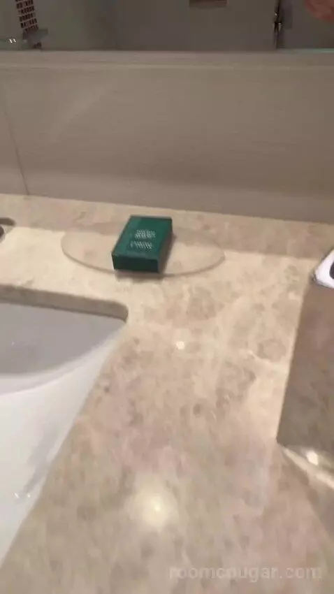 Superior King Room (#126) bathroom picture #5