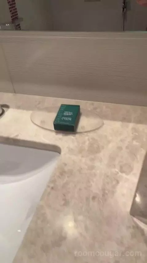 Superior King Room (#126) bathroom picture #6