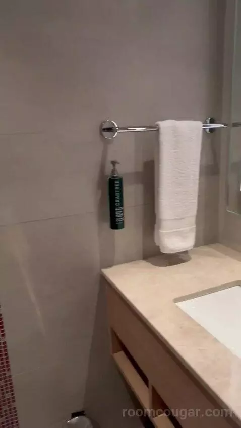 Superior King Room (#126) bathroom picture #8