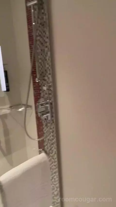 Superior King Room (#126) bathroom picture #9