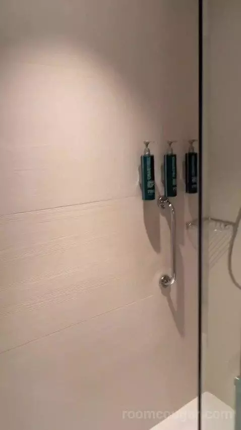 Superior King Room (#126) bathroom picture #11