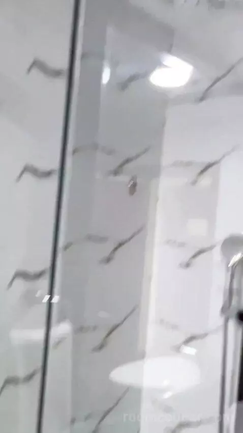 Standard Twin Room (#2101) bathroom picture #12