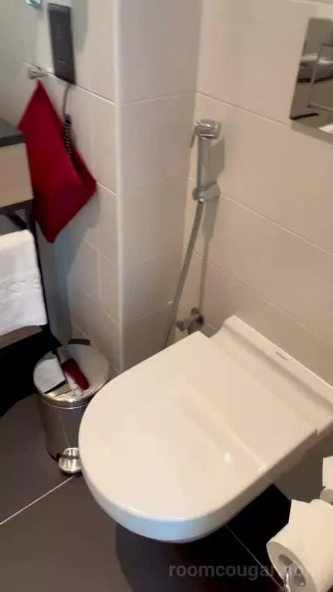 Deluxe Suite (#540) bathroom picture #2