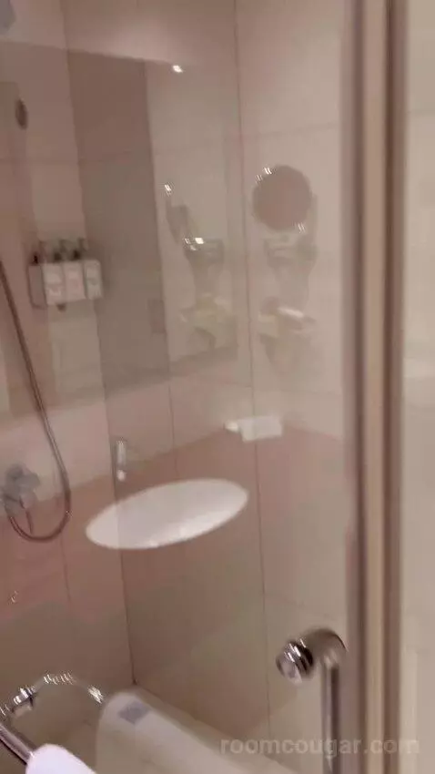 Standard King Room (#242) bathroom picture #1