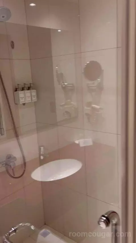 Standard King Room (#242) bathroom picture #2