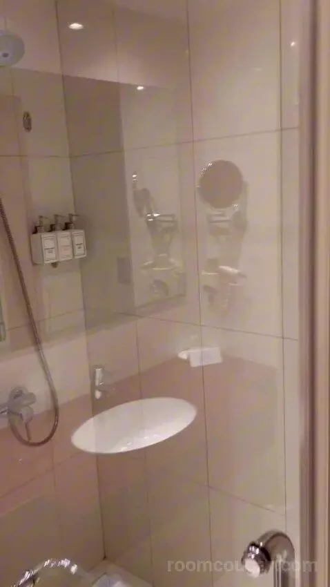 Standard King Room (#242) bathroom picture #3