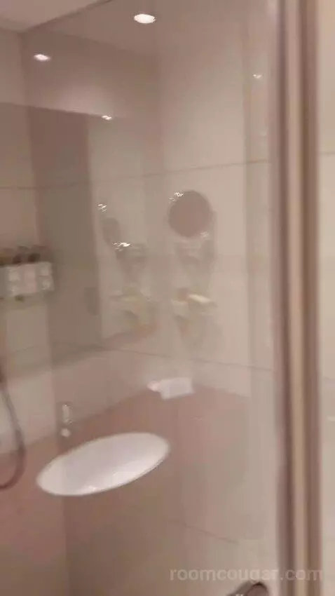 Standard King Room (#242) bathroom picture #4