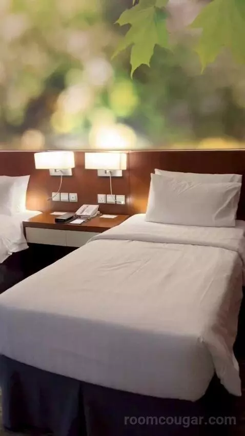 Deluxe Twin Room (#625) bed picture #4