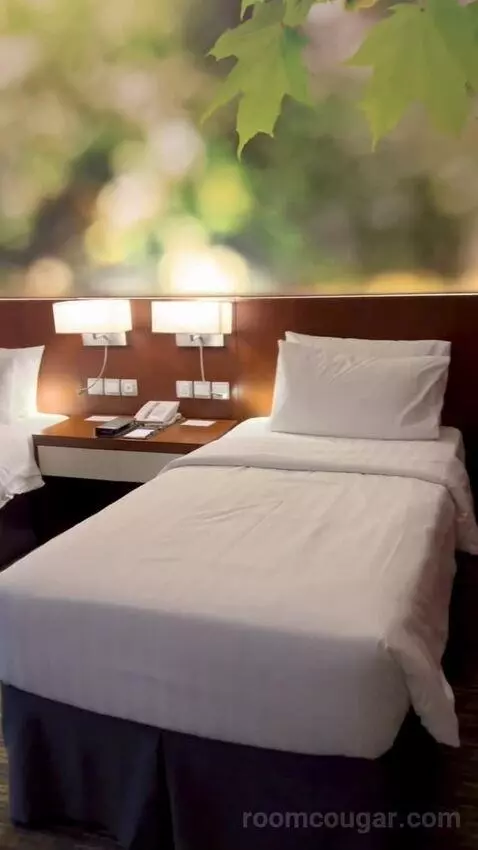 Deluxe Twin Room (#625) picture #4