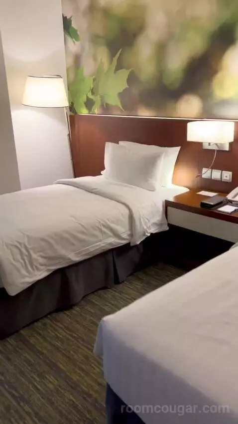 Deluxe Twin Room (#625) bed picture #5