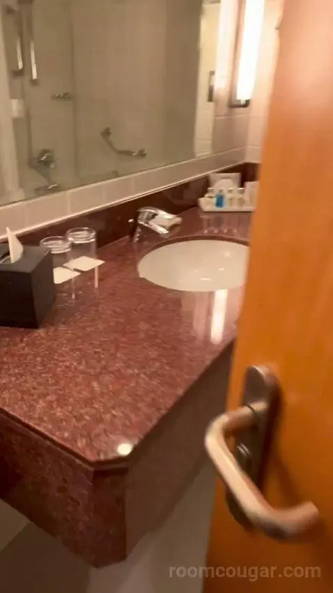 Junior Suite (#227) bathroom picture #1