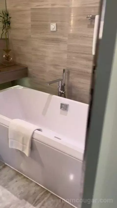 Executive Suite (#404) bathroom picture #4
