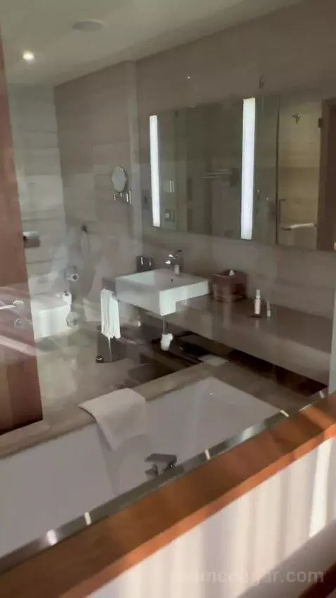 Deluxe King Room (#422) bathroom picture #7