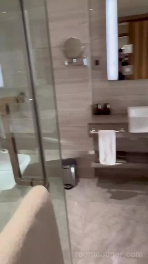 Deluxe King Room (#422) bathroom picture #1