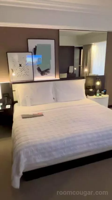 Super Deluxe Suite, Suite, 1 King, Airport Transfers (#635) bed picture #2