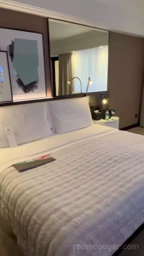 Super Deluxe Suite, Suite, 1 King, Airport Transfers (#635) bed picture #8