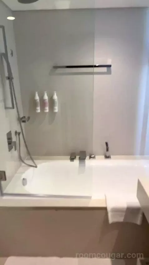 Super Deluxe Suite, Suite, 1 King, Airport Transfers (#635) bathroom picture #2