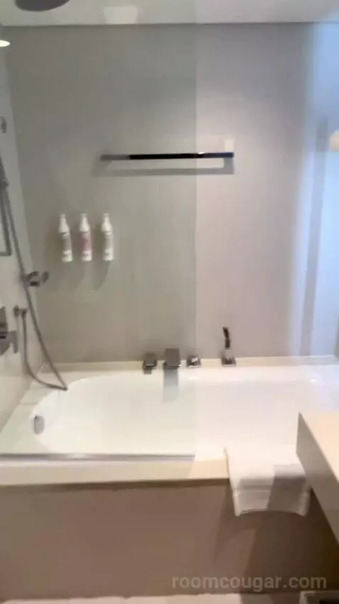 Super Deluxe Suite, Suite, 1 King, Airport Transfers (#635) bathroom picture #3