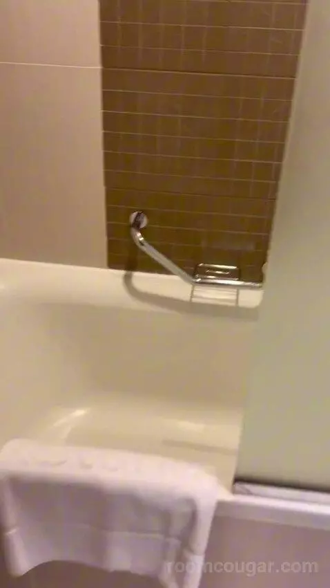 Executive Suite (#811) bathroom picture #12