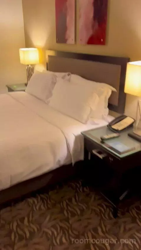 Executive Suite (#811) bed picture #7