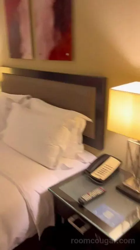 Executive Suite (#811) bed picture #11