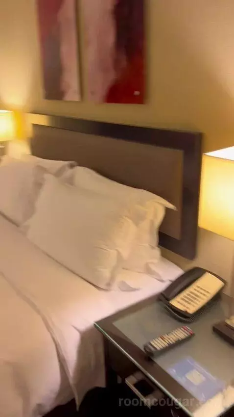 Executive Suite (#811) bed picture #12