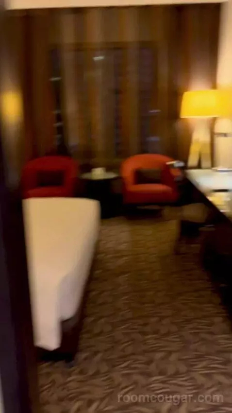 Superior King Room (#815) picture #24