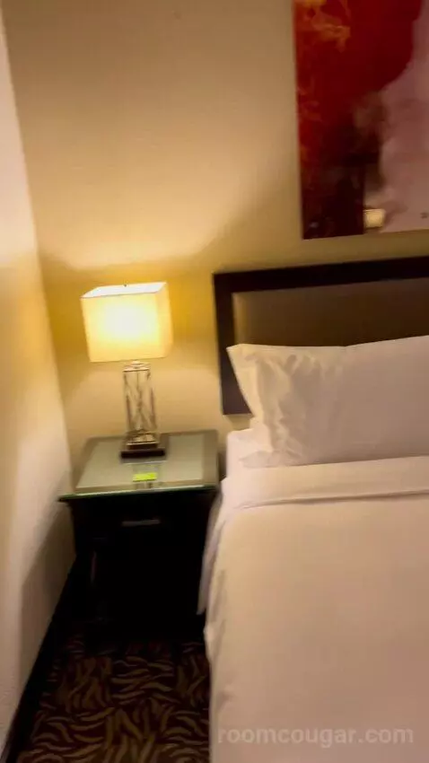Superior King Room (#815) picture #8