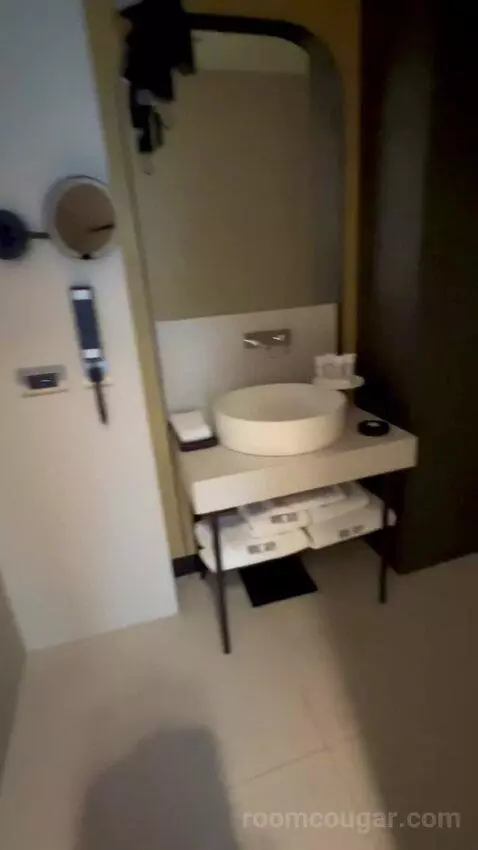 Deluxe Double Room (#302) bathroom picture #3