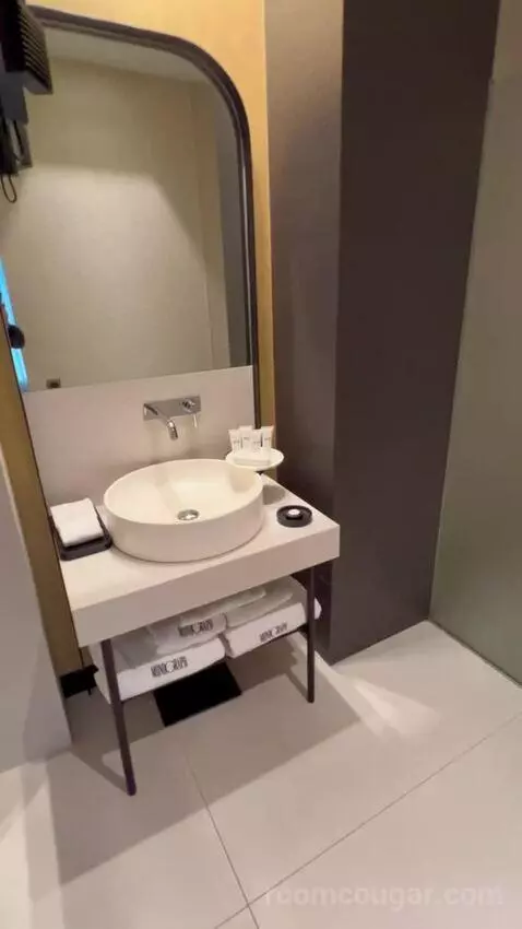 Deluxe Double Room (#302) bathroom picture #4