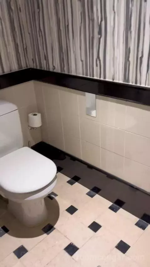 Junior Suite, Executive Lounge Access, 1 King, Sofa Bed (#310) bathroom picture #8