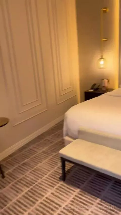 Junior Suite, Executive Lounge Access, 1 King, Sofa Bed (#310) bed picture #10