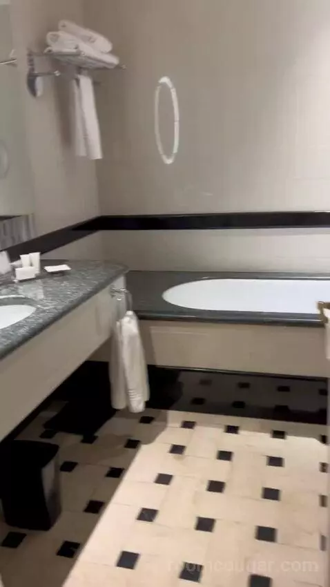 Junior Suite, Executive Lounge Access, 1 King, Sofa Bed (#310) bathroom picture #2