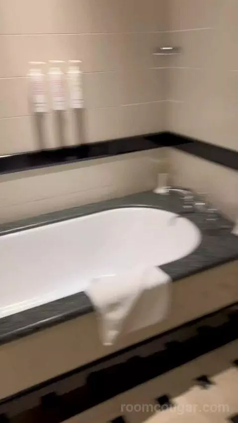 Junior Suite, Executive Lounge Access, 1 King, Sofa Bed (#310) bathroom picture #6