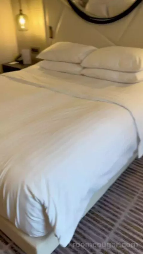 Deluxe Room 1 King (#440) bed picture #7
