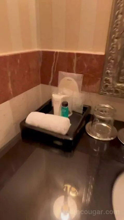 Grand Executive Suite (#340) bathroom picture #4
