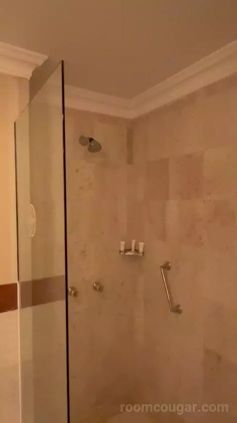 Grand Executive Suite (#340) bathroom picture #7
