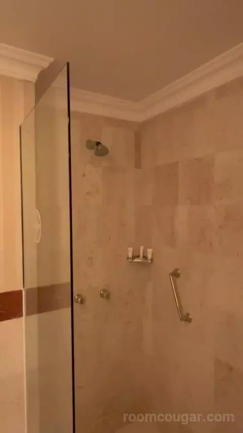 Grand Executive Suite (#340) bathroom picture #8
