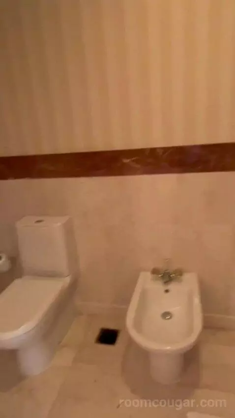 Grand Executive Suite (#340) bathroom picture #9