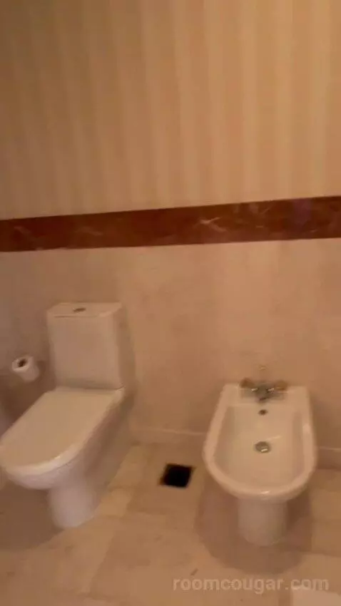Grand Executive Suite (#340) bathroom picture #10