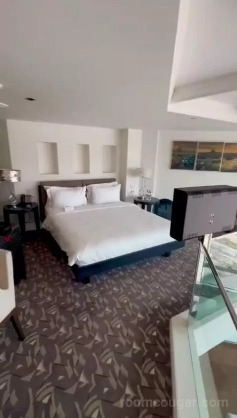 Duplex Superior Suite with City View (#703) bed picture #1