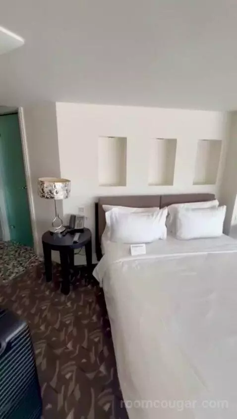 Duplex Superior Suite with City View (#703) bed picture #7