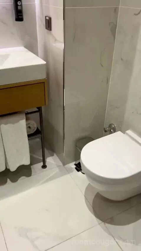 Standard Double or Twin Room (#208) bathroom picture #7