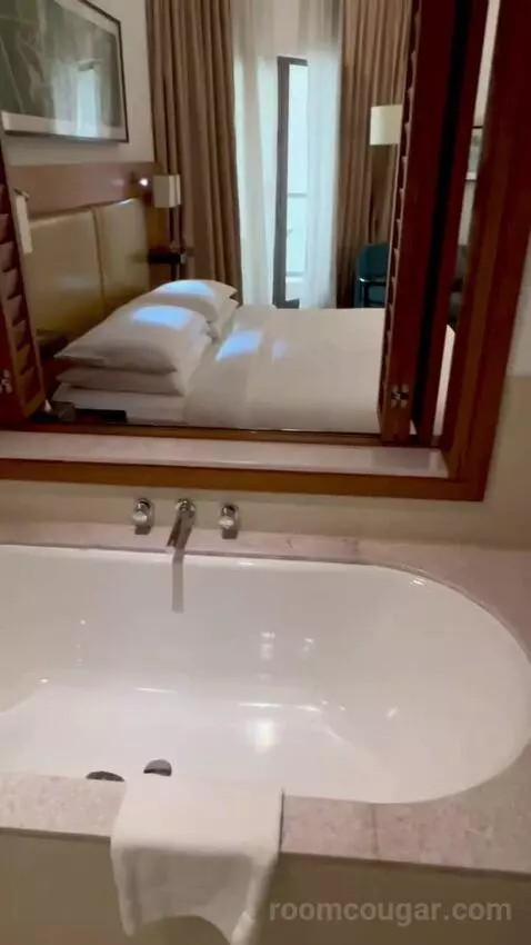 Superior King with Balcony (#608) bathroom picture #5