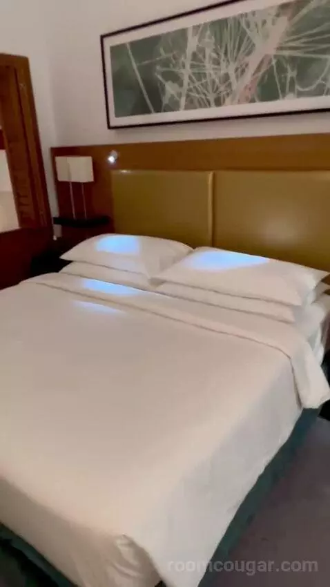 Superior King with Balcony (#608) bed picture #4