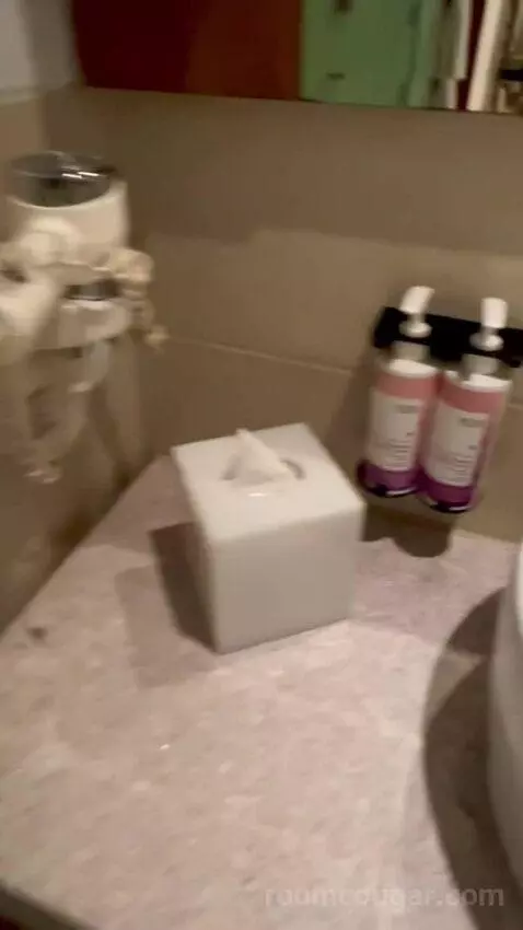 Superior King with Balcony (#608) bathroom picture #11