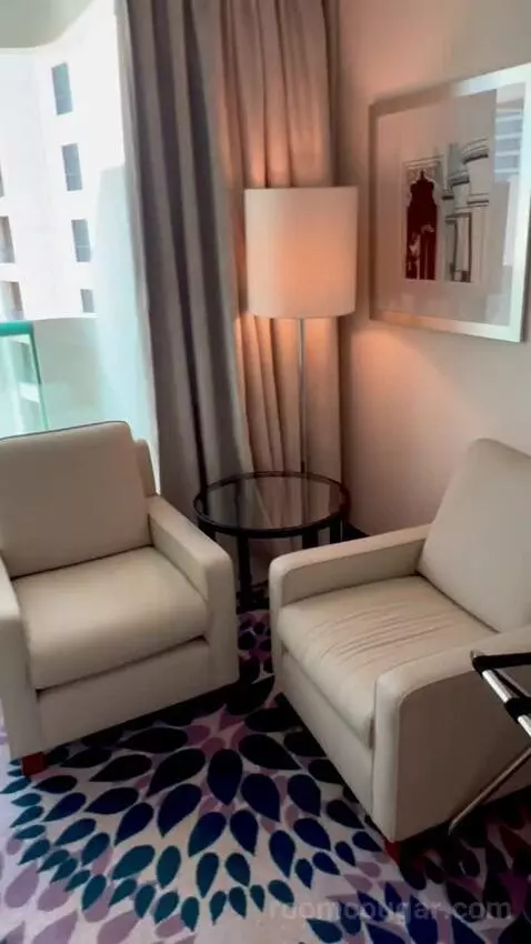 King Executive Suite (#862) picture #9